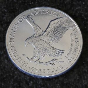 silver eagle